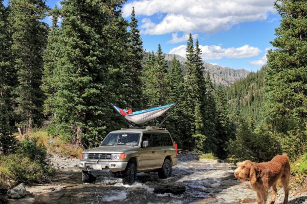 TrailNest Rooftop Hammock Stand