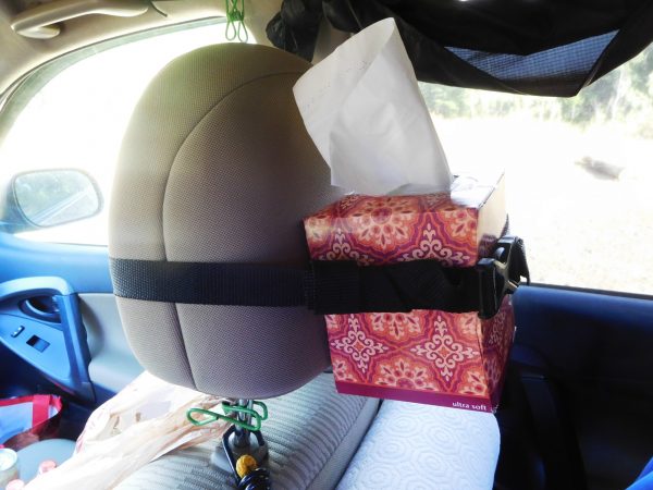 The tissue box strapped to a headrest.