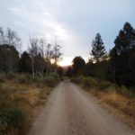 The good dirt road leading to and from the campsites