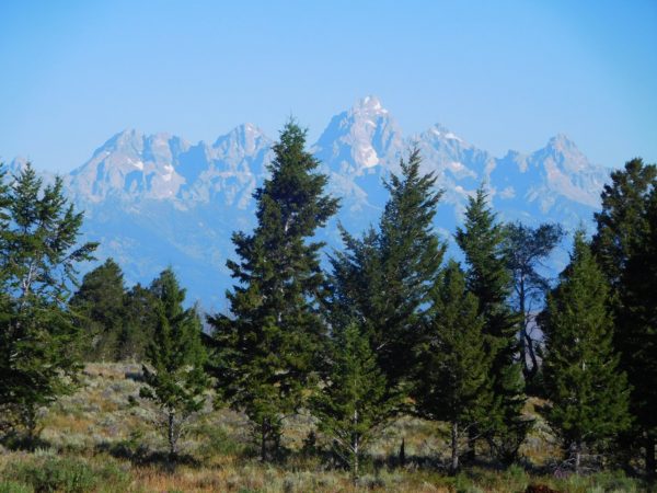 View of the Tetons from the campsite that's closer to town
