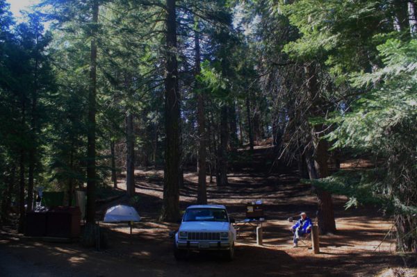 Another day in paradise: Atwell Mill Campground, Mineral King area, Sequoia National Park